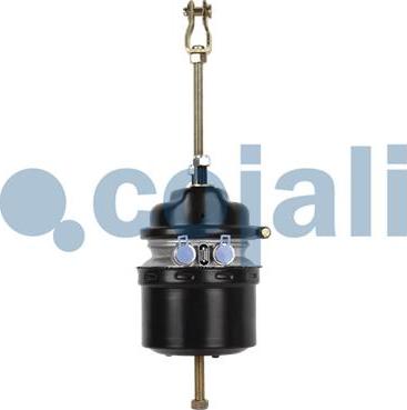 Cojali 2251506 - Спирачен цилиндър с пружинен акумулатор vvparts.bg