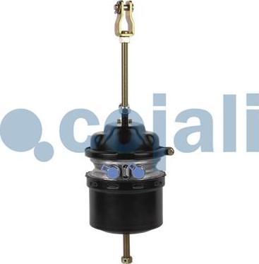 Cojali 2251507 - Спирачен цилиндър с пружинен акумулатор vvparts.bg