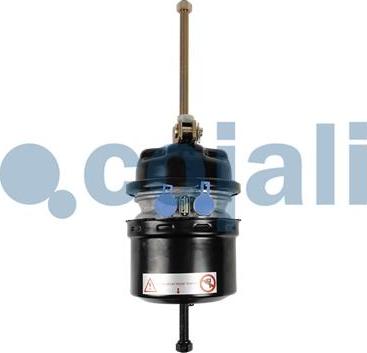 Cojali 2251606 - Спирачен цилиндър с пружинен акумулатор vvparts.bg