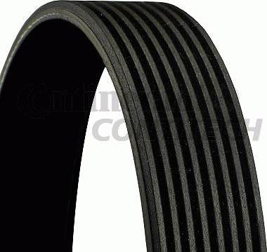 CONTINENTAL CTAM BR 8PK1475 - Пистов ремък vvparts.bg