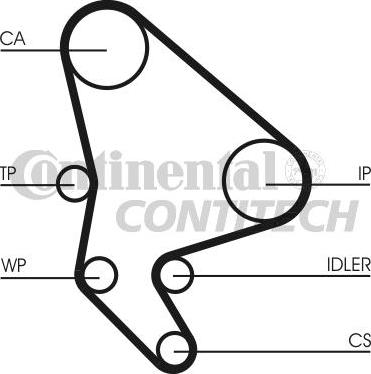 CONTINENTAL CTAM BR CT987 - Ангренажен ремък vvparts.bg