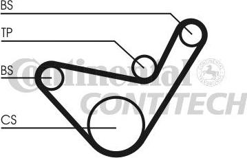 CONTINENTAL CTAM BR CT1107 - Ангренажен ремък vvparts.bg