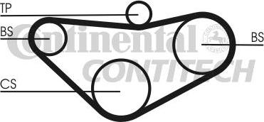 CONTINENTAL CTAM BR CT800 - Ангренажен ремък vvparts.bg