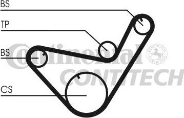 CONTINENTAL CTAM BR CT714 - Ангренажен ремък vvparts.bg