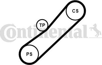 CONTITECH 4PK905K1 - Комплект пистов ремък vvparts.bg