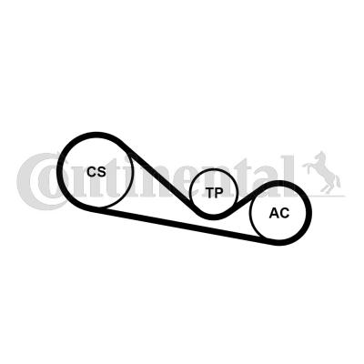 Continental 4PK1237K1 - Комплект пистов ремък vvparts.bg