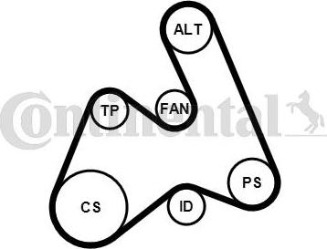 CONTITECH 5PK1592K1 - Комплект пистов ремък vvparts.bg