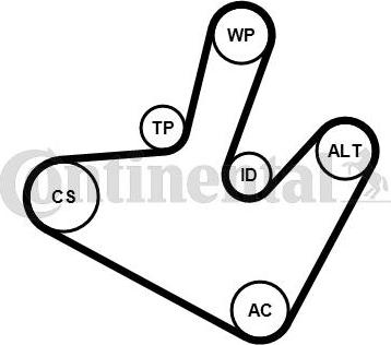 CONTITECH 5 PK 1515 K1 - Комплект пистов ремък vvparts.bg