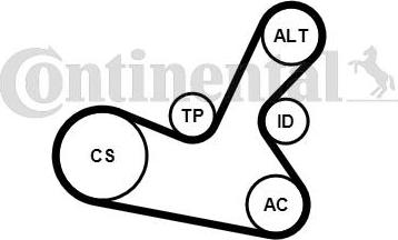 CONTITECH 5PK1300K1 - Комплект пистов ремък vvparts.bg