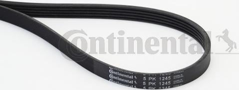 CONTITECH 5 PK 1245 - Пистов ремък vvparts.bg