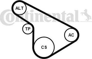 CONTITECH 5PK1212K1 - Комплект пистов ремък vvparts.bg