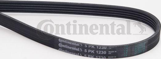 CONTITECH 5PK1230 - Пистов ремък vvparts.bg