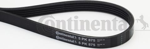 CONTITECH 5PK875 - Пистов ремък vvparts.bg