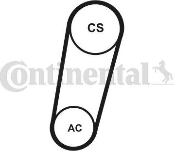 CONTITECH 5PK705ELASTT1 - Комплект пистов ремък vvparts.bg