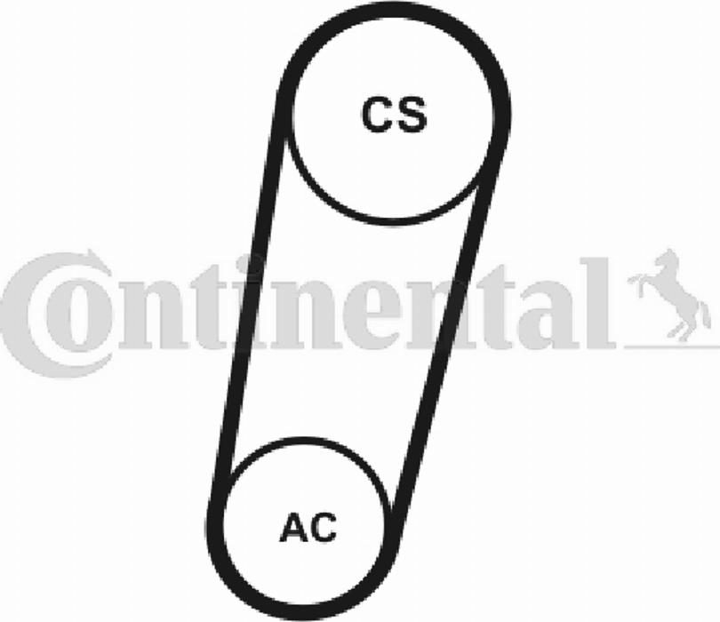 CONTITECH 5PK705T1 - Пистов ремък vvparts.bg