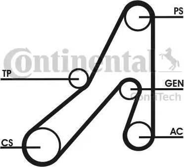 Continental 6DPK1841D1 - Пистов ремък vvparts.bg