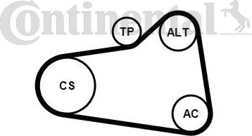CONTITECH 6PK905 EXTRA K1 - Комплект пистов ремък vvparts.bg