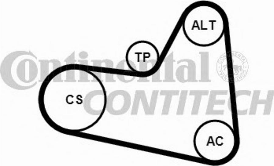 CONTITECH 6PK976K2 - Комплект пистов ремък vvparts.bg