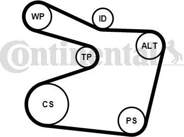 CONTITECH 6PK1555K1 - Комплект пистов ремък vvparts.bg