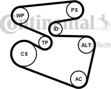 Continental 6PK1555K3 - Комплект пистов ремък vvparts.bg