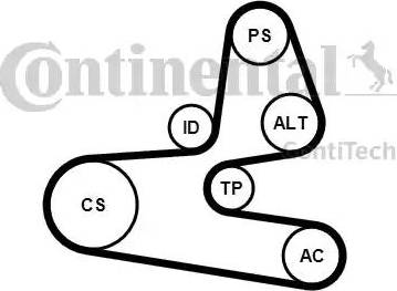 Continental 6PK1564K1 - Комплект пистов ремък vvparts.bg