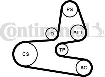 CONTITECH 6PK1564K1 - Комплект пистов ремък vvparts.bg