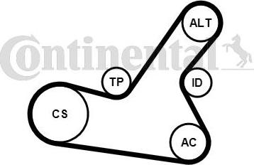 CONTITECH 6PK1564K2 - Комплект пистов ремък vvparts.bg