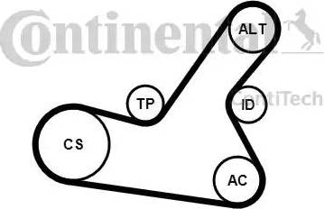 Continental 6PK1564K2 - Комплект пистов ремък vvparts.bg