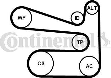 CONTITECH 6PK1693K1 - Комплект пистов ремък vvparts.bg