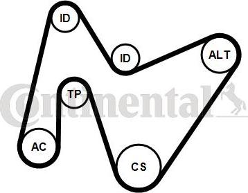 CONTITECH 6PK1642K4 - Комплект пистов ремък vvparts.bg