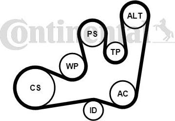 CONTITECH 6PK1642K1 - Комплект пистов ремък vvparts.bg