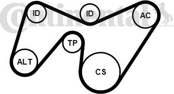 CONTITECH 6PK1642K2 - Комплект пистов ремък vvparts.bg
