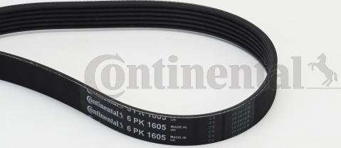 CONTITECH 6PK1605 - Пистов ремък vvparts.bg