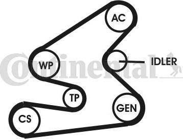 CONTITECH 6PK1623D1 - Комплект пистов ремък vvparts.bg