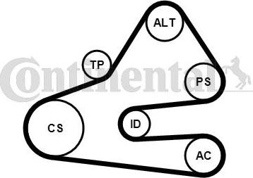 CONTITECH 6 PK 1613 K1 - Комплект пистов ремък vvparts.bg