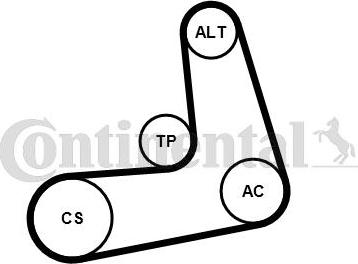 CONTITECH 6PK1005K2 - Комплект пистов ремък vvparts.bg