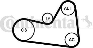 CONTITECH 6PK1033K1 - Комплект пистов ремък vvparts.bg