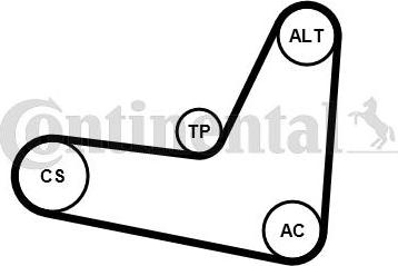 CONTITECH 6PK1130K3 - Комплект пистов ремък vvparts.bg