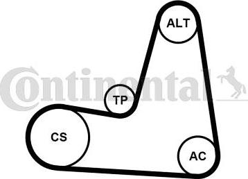 CONTITECH 6PK1130K2 - Комплект пистов ремък vvparts.bg