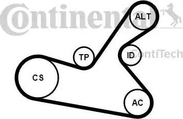 Continental 6PK1125K1 - Комплект пистов ремък vvparts.bg