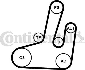 CONTITECH 6PK1845K1 - Комплект пистов ремък vvparts.bg