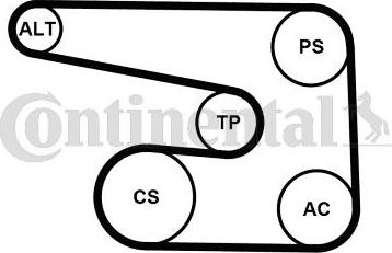 Continental 6PK1873K5 - Комплект пистов ремък vvparts.bg