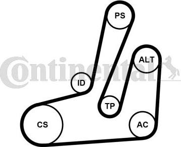 CONTITECH 6PK1390K1 - Комплект пистов ремък vvparts.bg