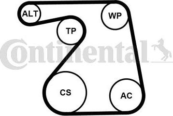 Continental 6PK1360K1 - Комплект пистов ремък vvparts.bg