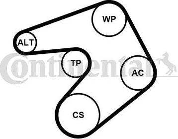 CONTITECH 6PK1244K1 - Комплект пистов ремък vvparts.bg