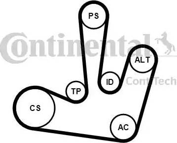 Continental 6PK1795K1 - Комплект пистов ремък vvparts.bg