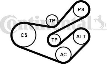 CONTITECH 6PK1750K3 - Комплект пистов ремък vvparts.bg