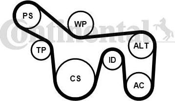 CONTITECH 6PK1715K1 - Комплект пистов ремък vvparts.bg