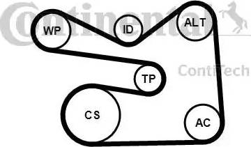 Continental 6PK1733K3 - Комплект пистов ремък vvparts.bg