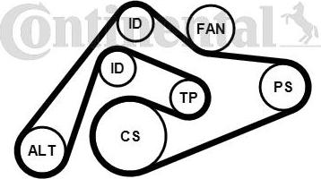 CONTITECH 6PK2404K1 - Комплект пистов ремък vvparts.bg